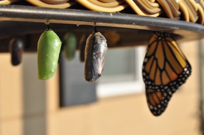 data transformation