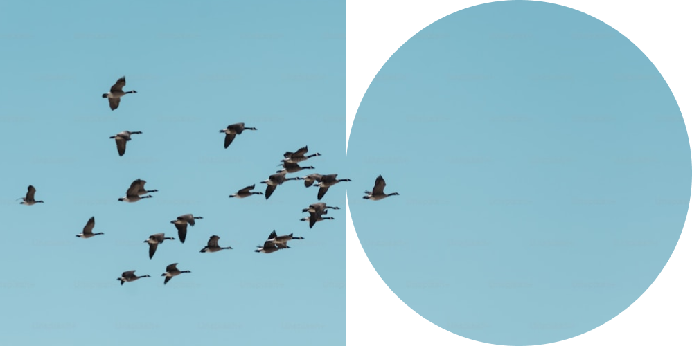 img_migrate