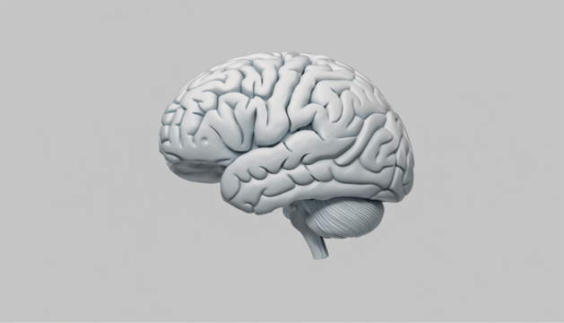 neuroscience-backed ways to improve workplace productivity